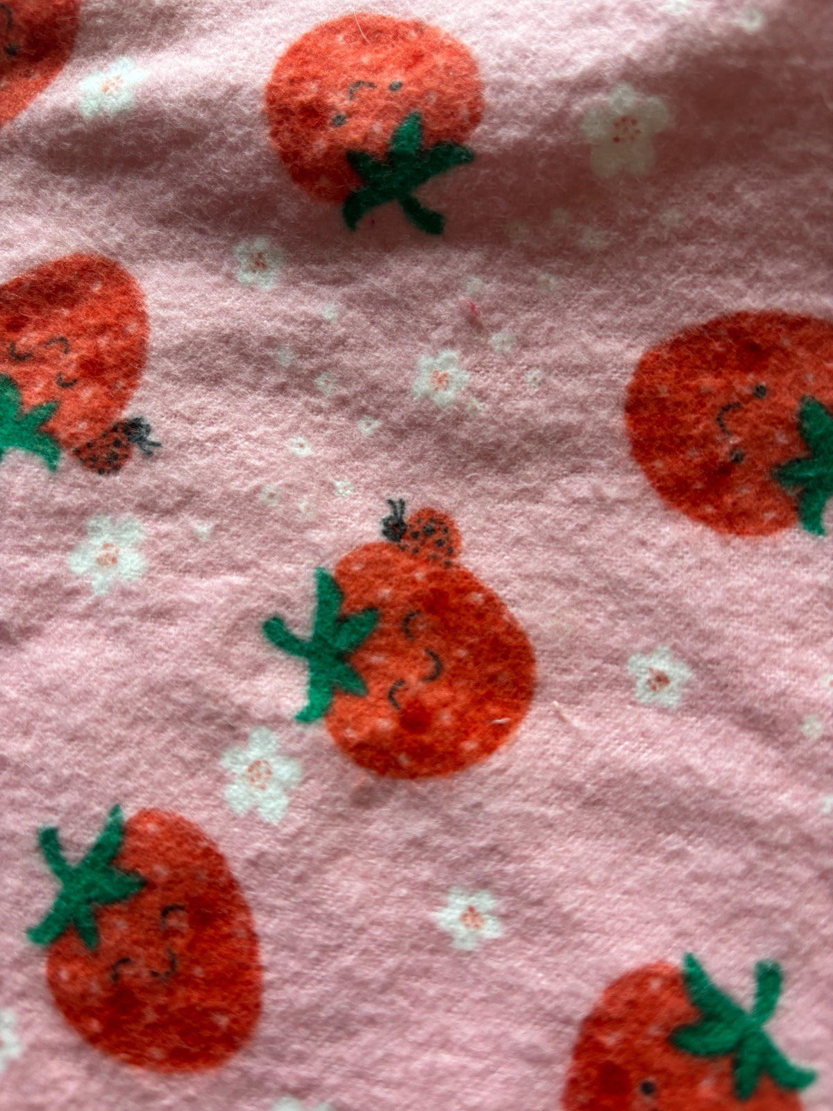 Strawberry Flannel Minky Tag Blanket | Sensory Lovey for Babies