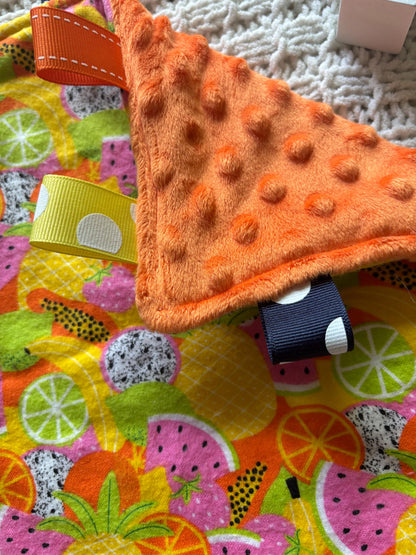 Tutti Frutti Tag Blanket | Sensory Lovey, Orange Minky Back, Ribbon Loops